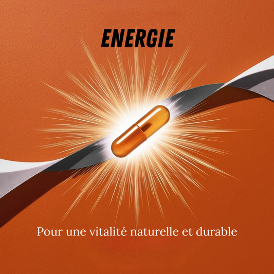 Énergie – Cordyceps